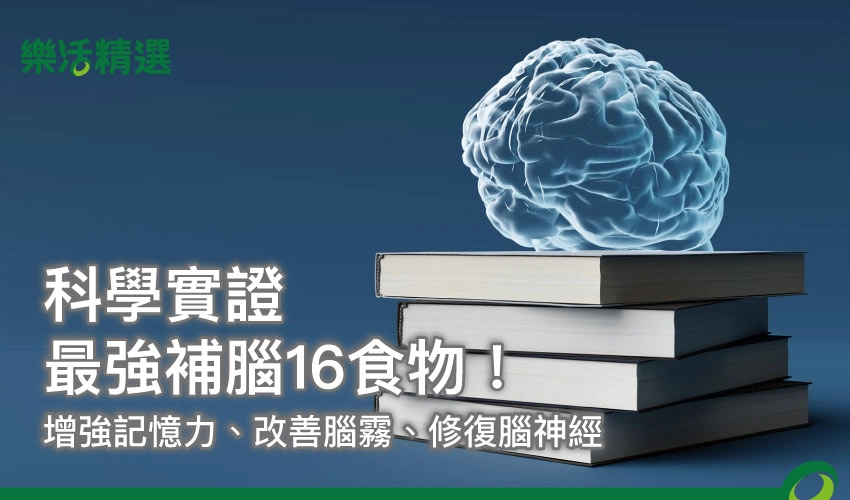 最強補腦16食物！科學實證：增強記憶力、改善腦霧、修復腦神經
