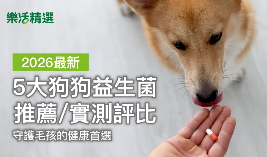 【2026最新】5大狗狗益生菌推薦/實測評比，守護毛孩的健康首選