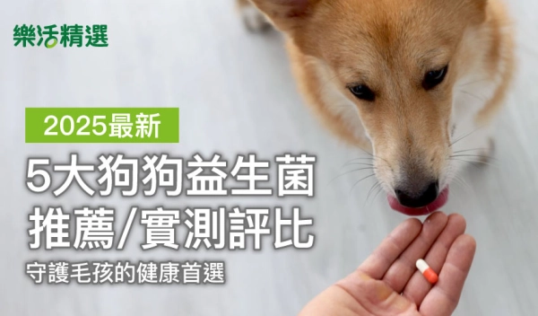 【2025最新】5大狗狗益生菌推薦/實測評比，守護毛孩的健康首選